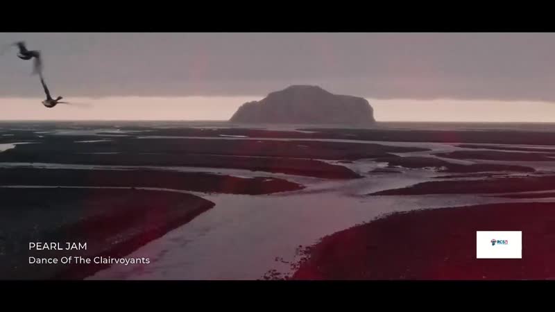 Puntata dell'11 Febbraio 2026