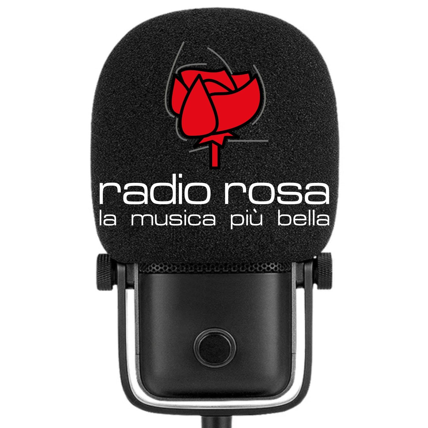 LE INTERVISTE DI RADIO ROSA 