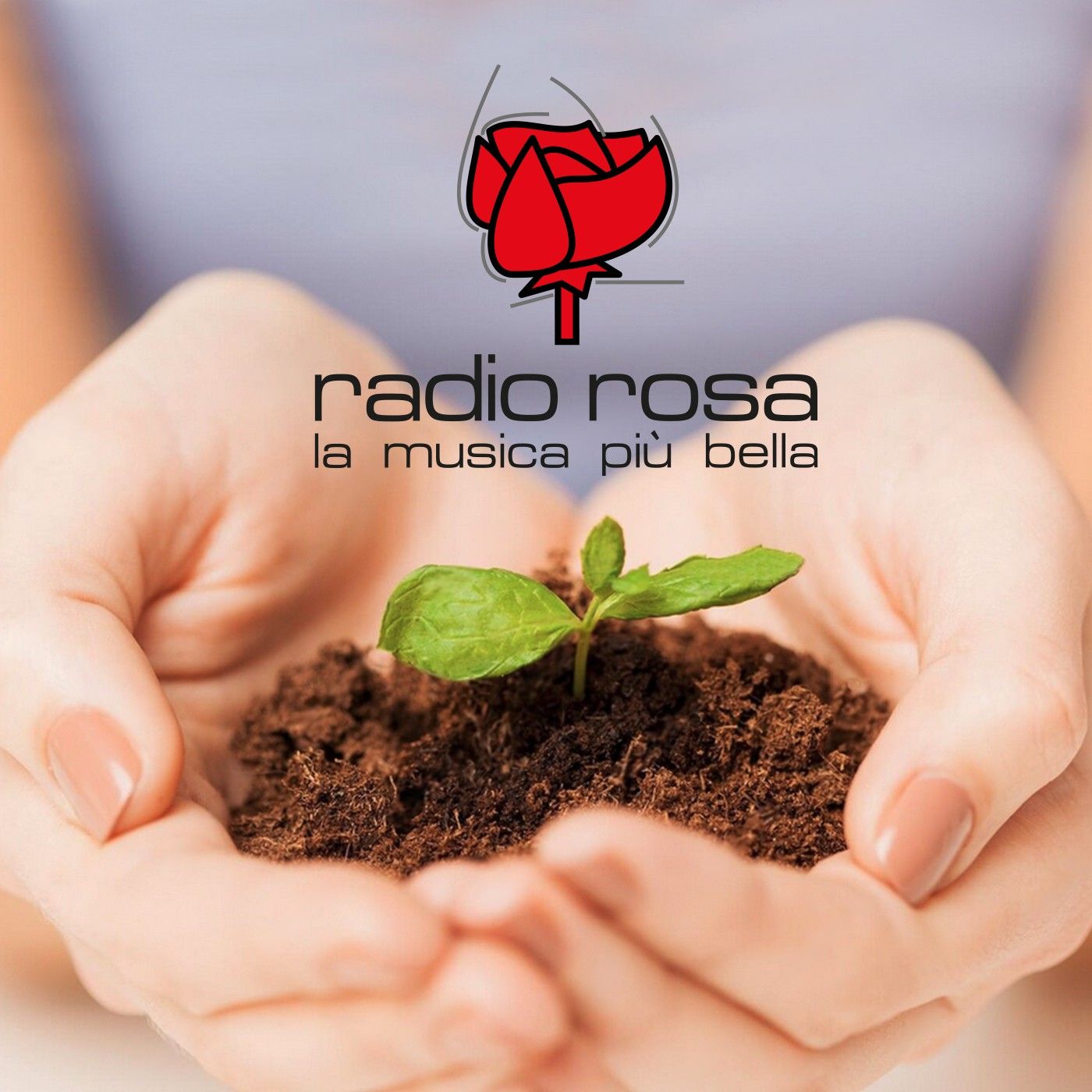 RADIO ROSA AMBIENTE 