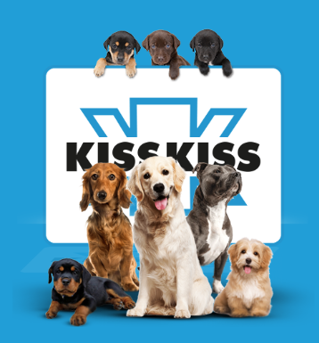 🤝Kiss Kiss Media Partner a Napoli di Quattro Zampe in Fiera: Un Impegno Costante per il Benessere degli Animali