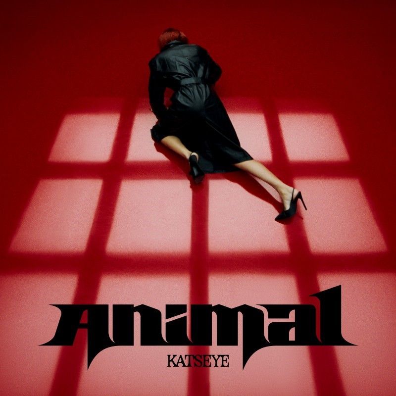 ANIMAL – Katseye
