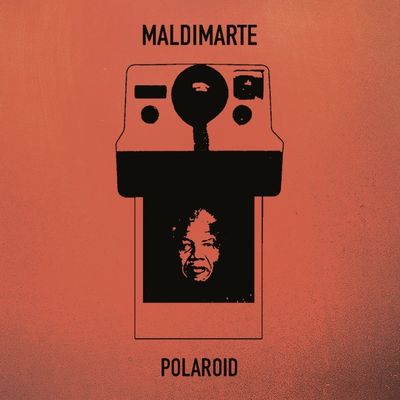 Polaroid