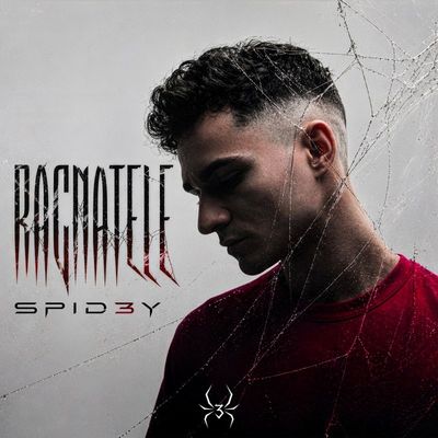 Ragnatele