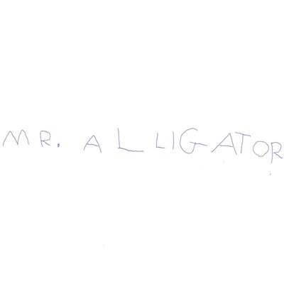 Mr. Alligator