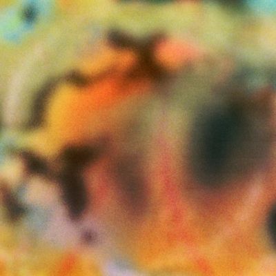 The Essence Of Beauty