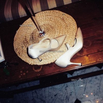 (siamo tutti) animali notturni