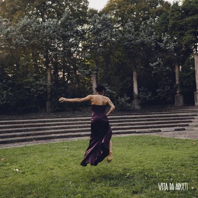 Vita da adulti
