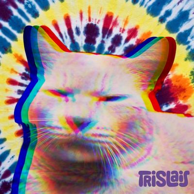 Canzone da Cazzeggio