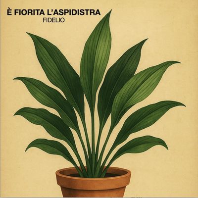 È fiorita l’aspidistra