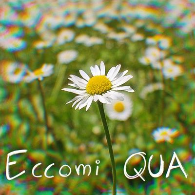 Eccomi Qua