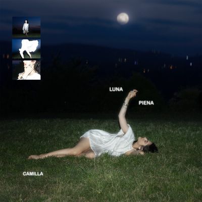 Luna piena