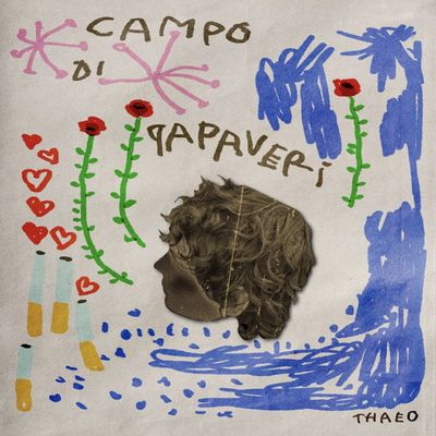 CAMPO DI PAPAVERI