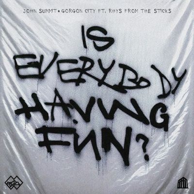 Is Everybody Having Fun (feat. rhys from the sticks)