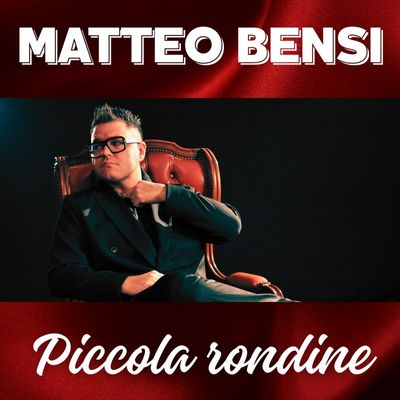 Piccola rondine