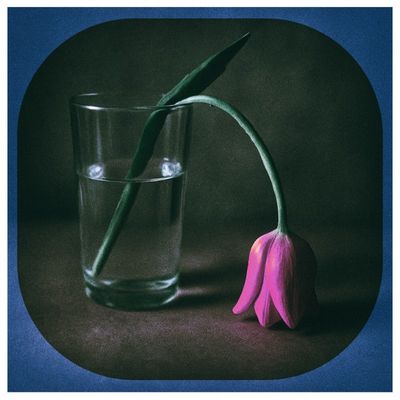 Tutti giù per terra