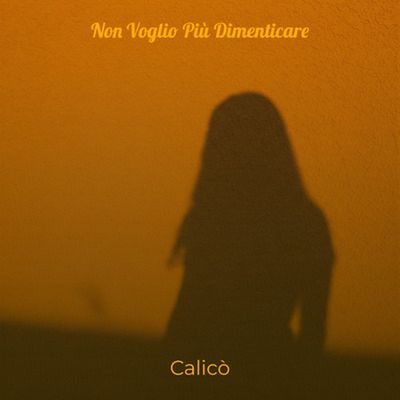 Non Voglio Più Dimenticare