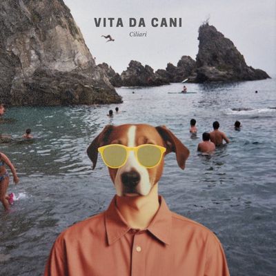 Vita da cani
