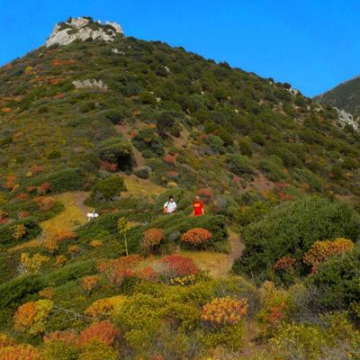 Portami a ballare in primavera