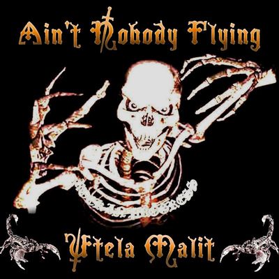 Ain't Nobody Flying