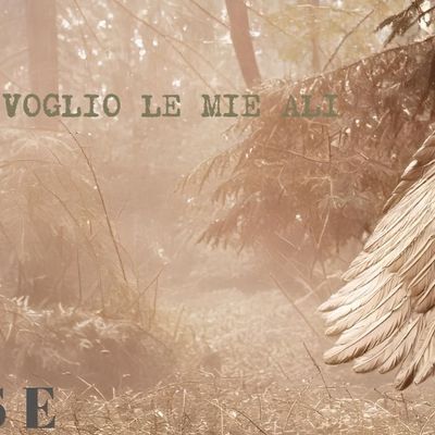 Rivoglio le mie ali