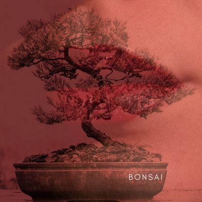 Bonsai