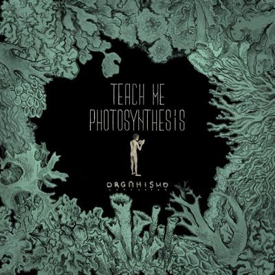 TEACH ME PHOTOSYNTHESIS