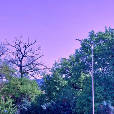 Fisserò il sole fino a vedere le macchie viola