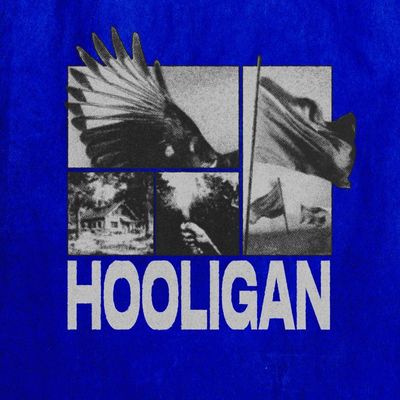 Hooligan