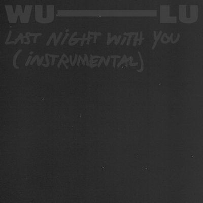 Last Night With You