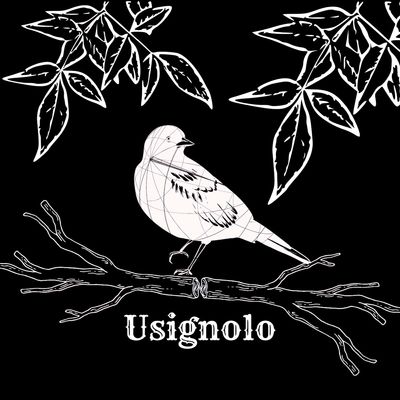 Usignolo (feat. Mellow)