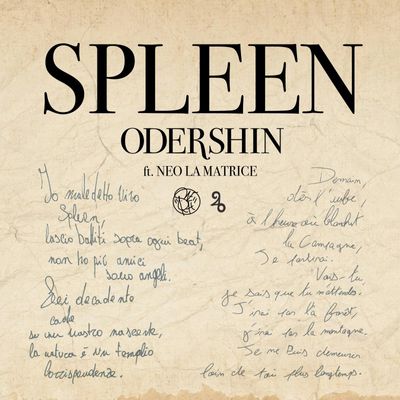 Spleen