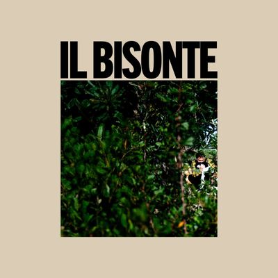 Il bisonte