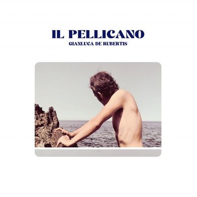 Il pellicano