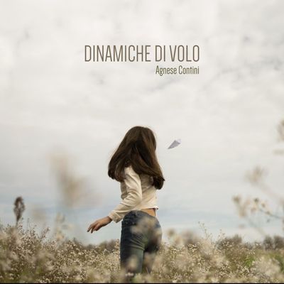 Dinamiche di volo (Chiusura)
