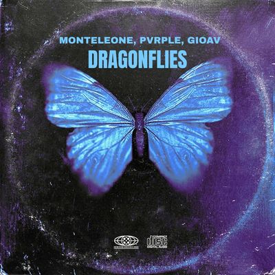 Dragonflies