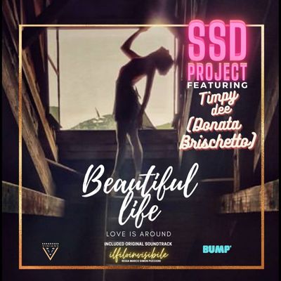 Beautiful Life (Love Is Around) (feat. Timpy Dee)