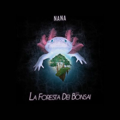 La foresta dei Bonsai