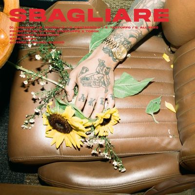 Sbagliare