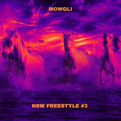 NSW FREESTYLE #3