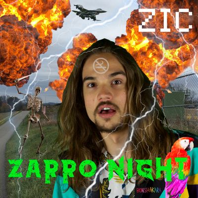 Zarro Night