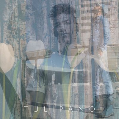Tulipano (feat. Giancarlo)
