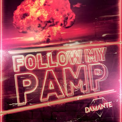 Follow My Pamp (feat. Adam Clay)