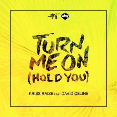 Turn Me on (Hold You) (feat. David Celine)