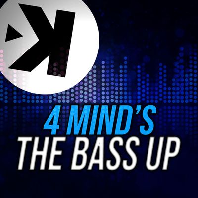The Bass Up