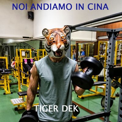 Noi andiamo in Cina