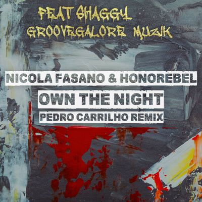 Own The Night (feat. Shaggy, GrooveGalore Muzik)