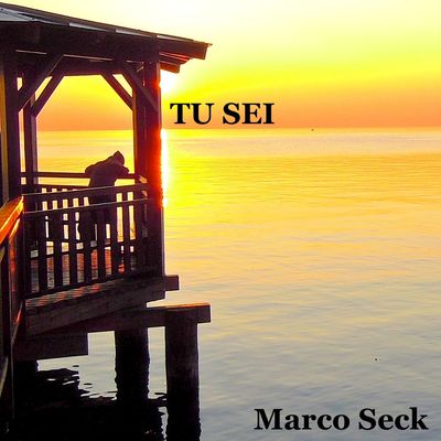 Tu sei