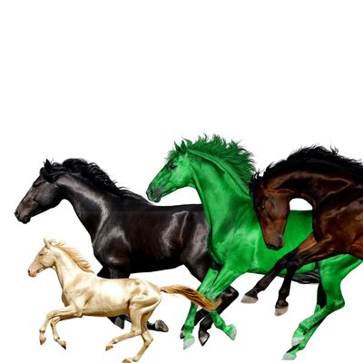 Old Town Road (feat. Billy Ray Cyrus) (Remix)