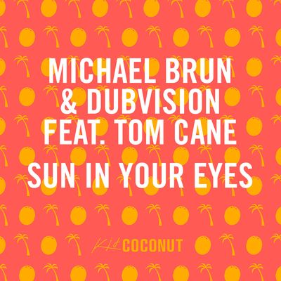 Sun In Your Eyes (feat. Tom Cane)