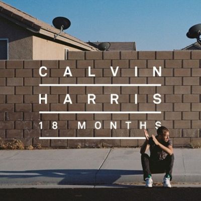 Drinking From The Bottle (feat. Tinie Tempah)